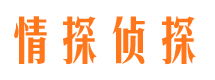 政和私人侦探